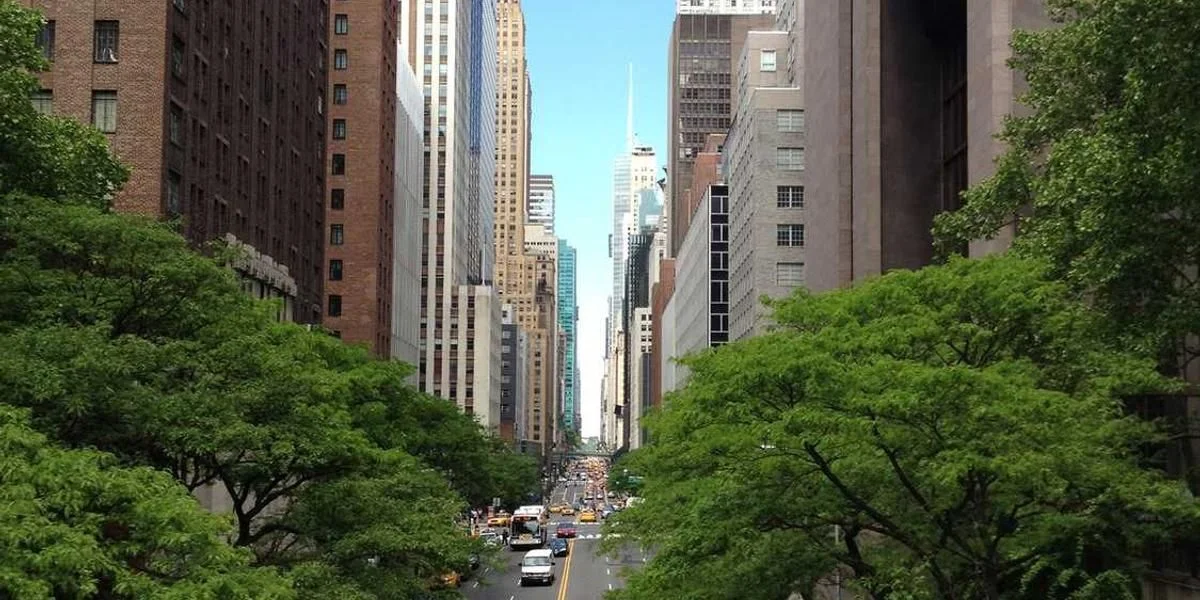 Literacki kultura a bić wyścig móc