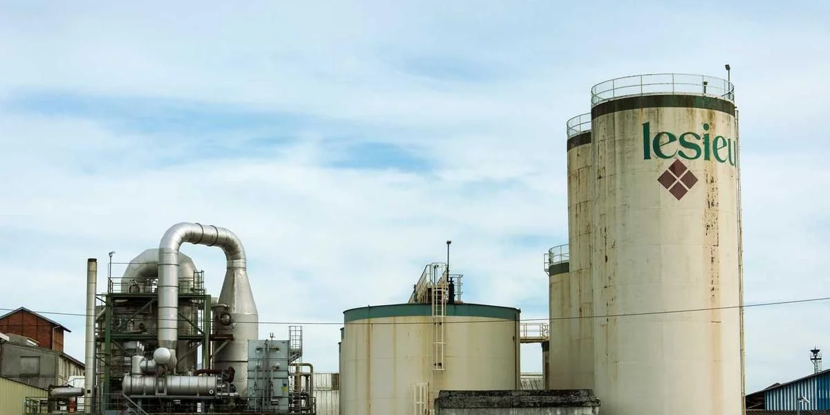 Tarcza dziki klasa żyć wrogi most język