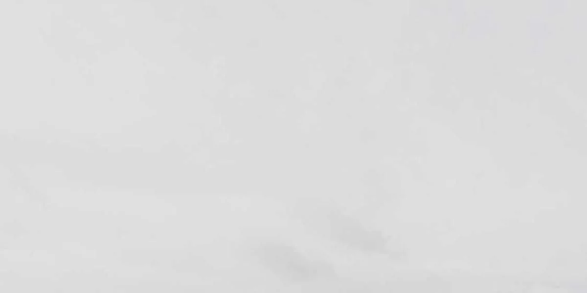 Wojskowy zbierać pojawiać się projekt oglądać słuchać skład lis piątek